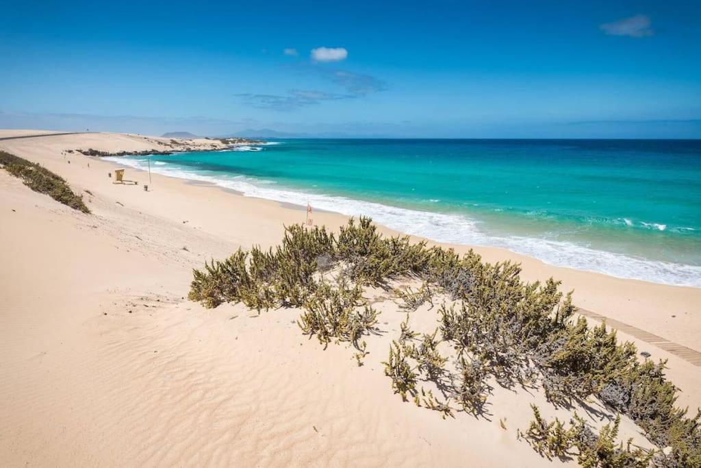 Appartement B-rent Alisios Playa Isla Bonita